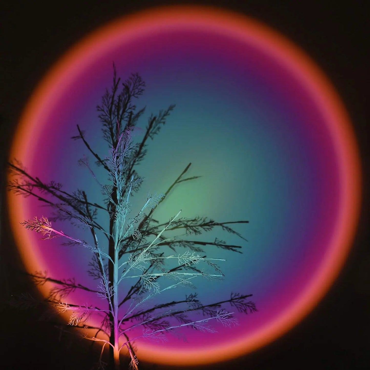 Lumatek™ USB Room Photo Atmosphere Light